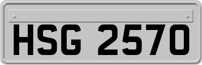 HSG2570