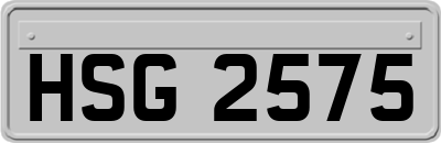 HSG2575