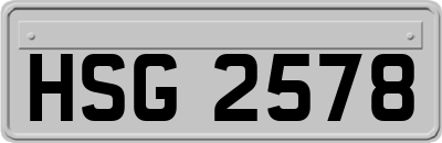 HSG2578