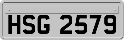HSG2579