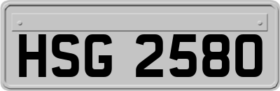 HSG2580