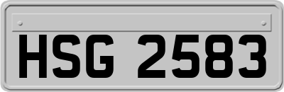 HSG2583