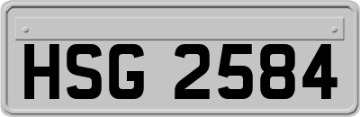HSG2584