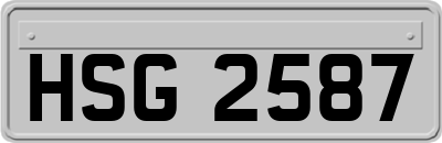 HSG2587