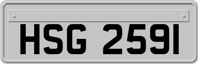 HSG2591