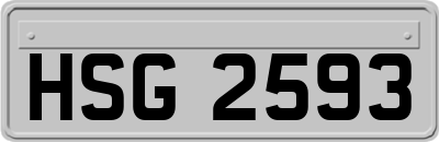 HSG2593