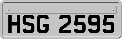 HSG2595