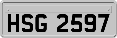 HSG2597
