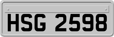 HSG2598