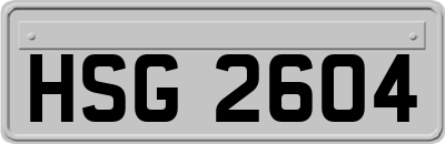 HSG2604