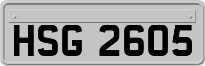 HSG2605