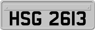 HSG2613