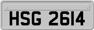 HSG2614