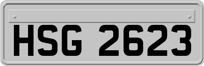 HSG2623