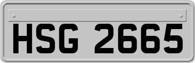 HSG2665