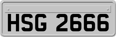HSG2666