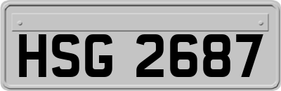 HSG2687