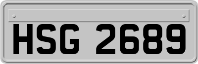 HSG2689