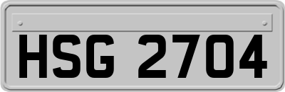 HSG2704