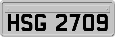 HSG2709