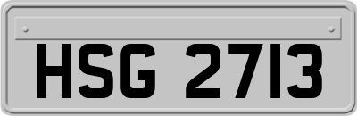 HSG2713