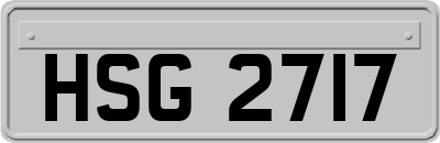 HSG2717