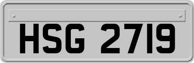 HSG2719