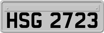 HSG2723