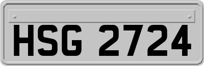 HSG2724