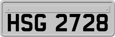 HSG2728