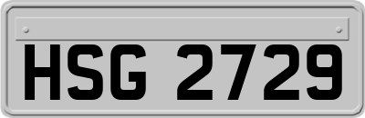HSG2729