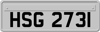 HSG2731