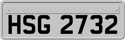 HSG2732