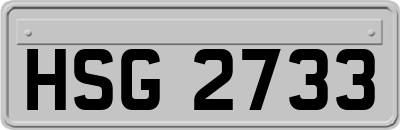HSG2733