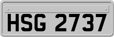 HSG2737