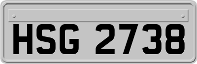 HSG2738