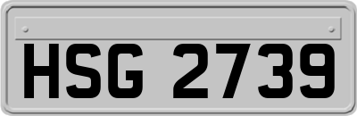 HSG2739