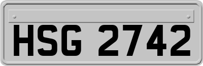 HSG2742