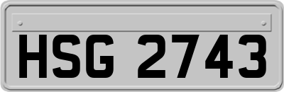 HSG2743