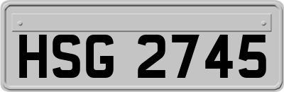 HSG2745
