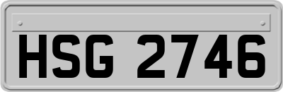 HSG2746