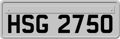 HSG2750