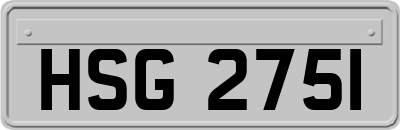 HSG2751