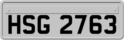 HSG2763