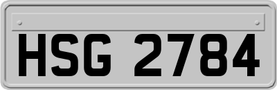 HSG2784