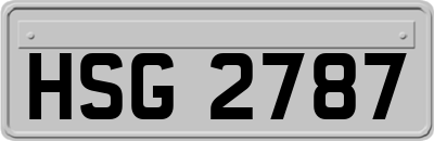 HSG2787