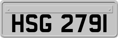 HSG2791