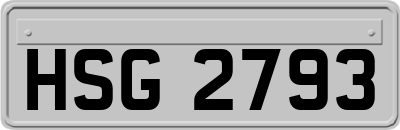 HSG2793