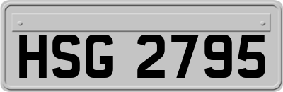 HSG2795