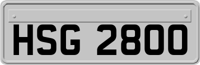HSG2800